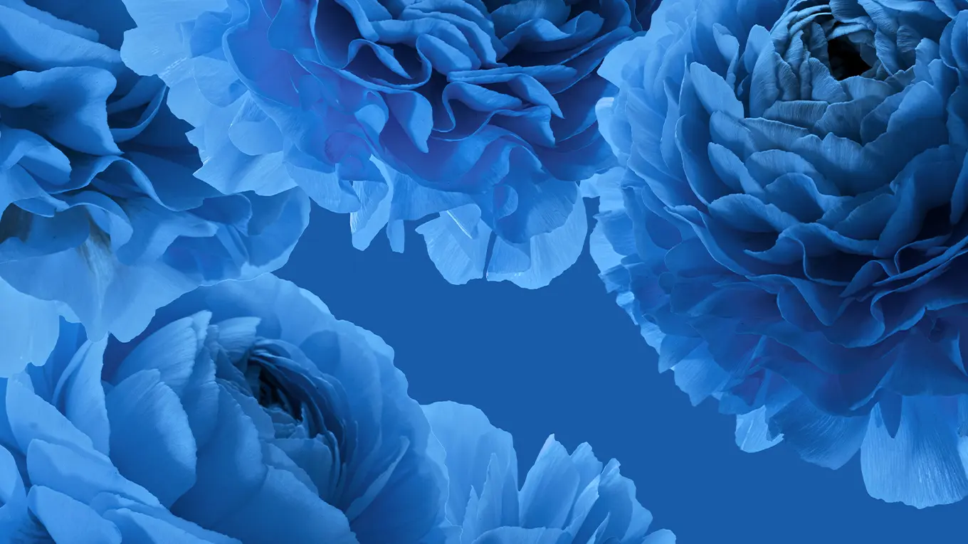 Blaue Blüten auf blauem hintergrund